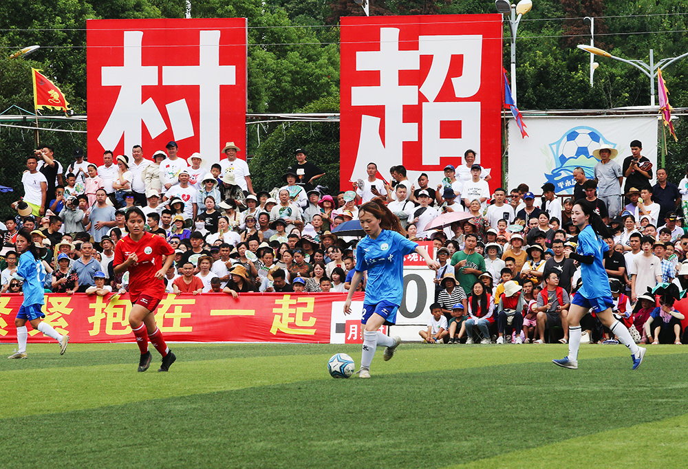 老将提供了 老将提供了