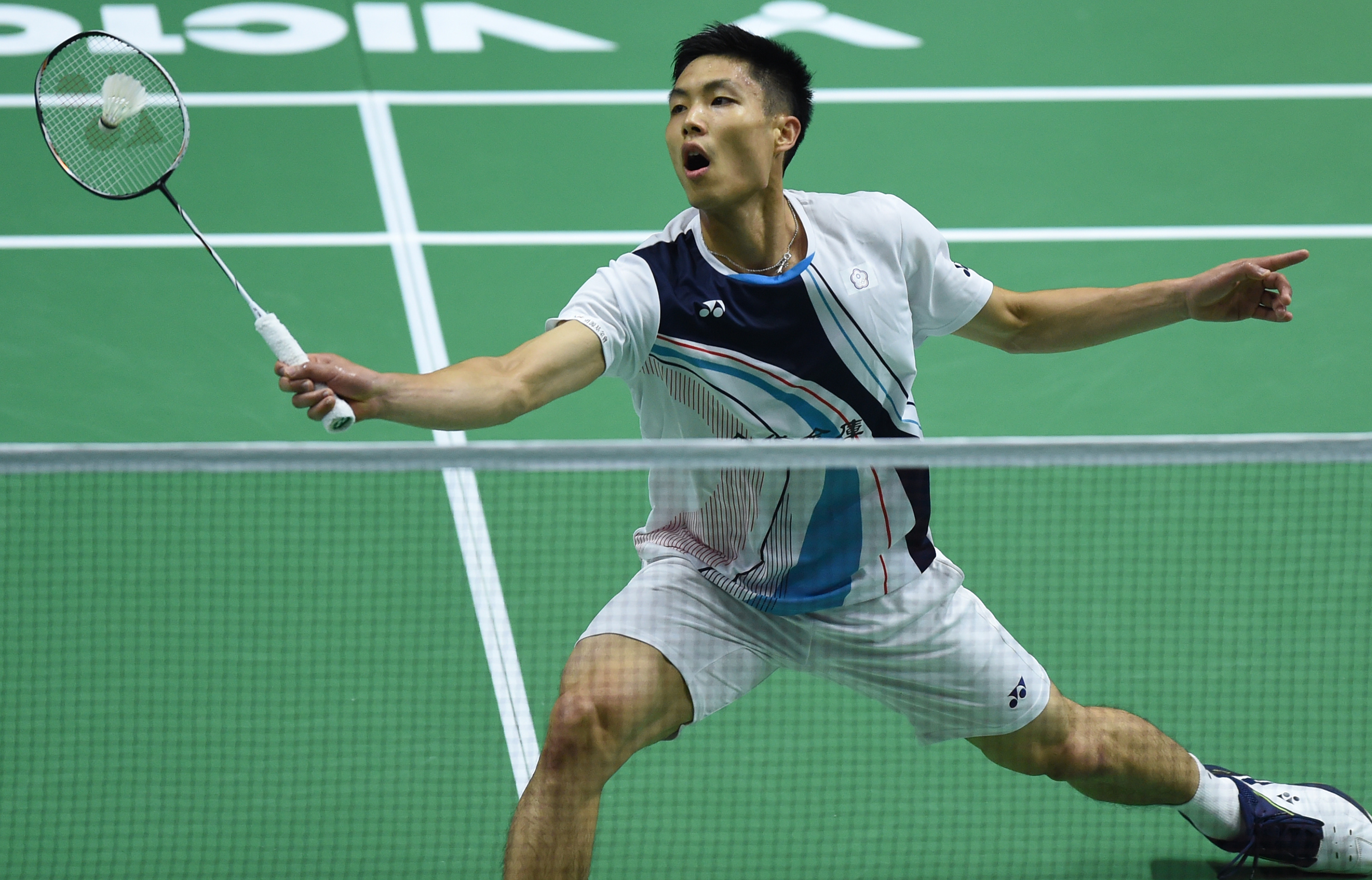 极大的提升 极大的提升