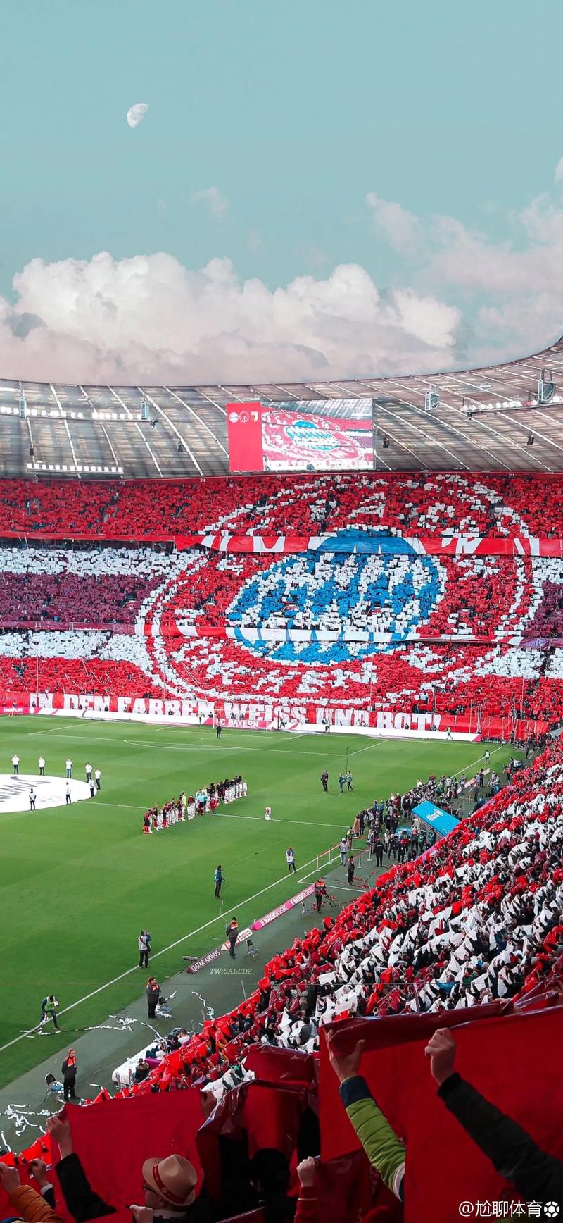 正牌节奏 正牌节奏